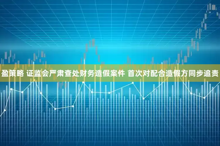 盈策略 证监会严肃查处财务造假案件 首次对配合造假方同步追责