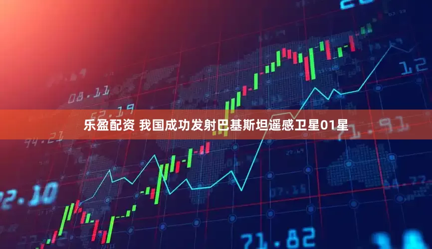 乐盈配资 我国成功发射巴基斯坦遥感卫星01星
